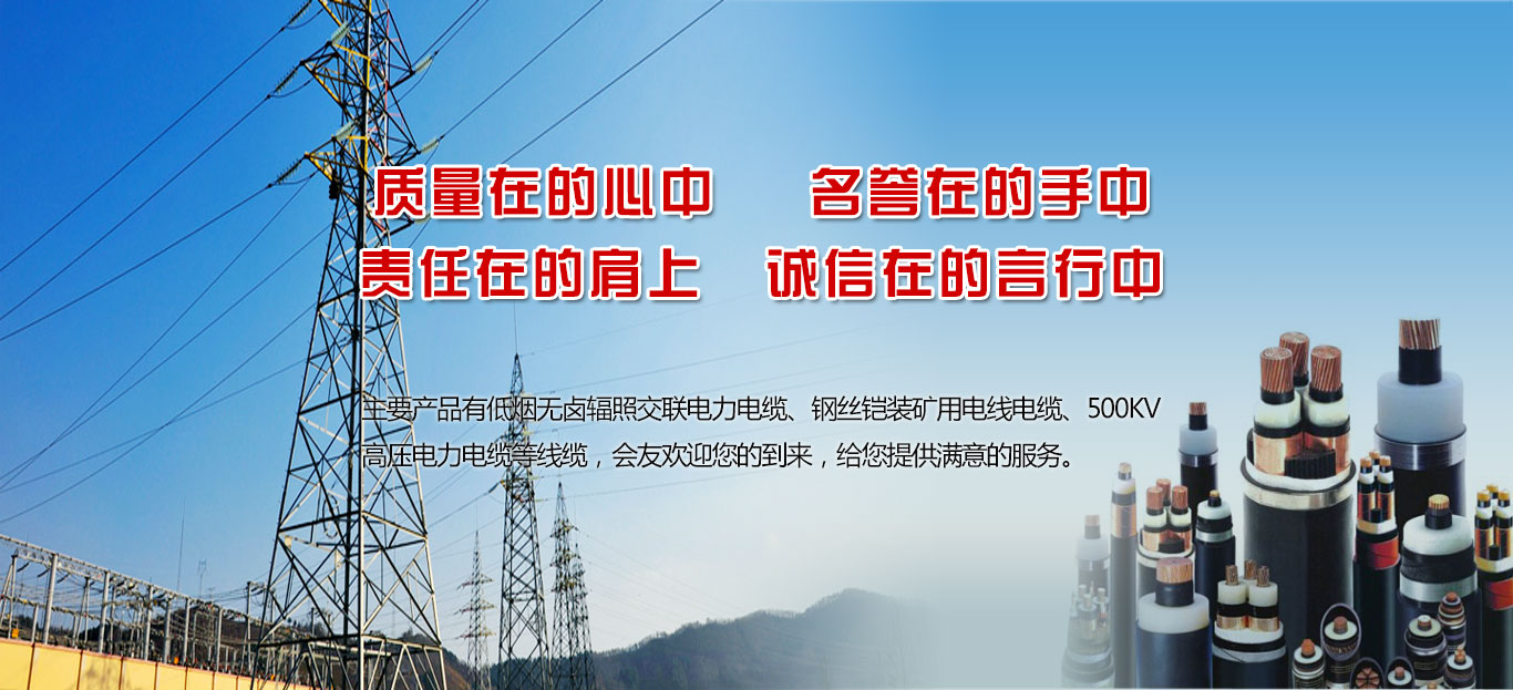滄州會(huì)友線纜股份有限公司