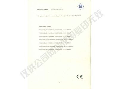 認(rèn)證證書