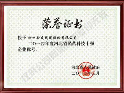 民營科技十強(qiáng)榮譽(yù)證書